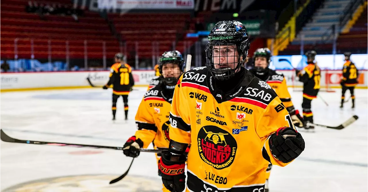 Ishockey: Luleås Petra Nieminen gjorde ett hattrick mot Brynäs – sedan sågade hon laginsatsen