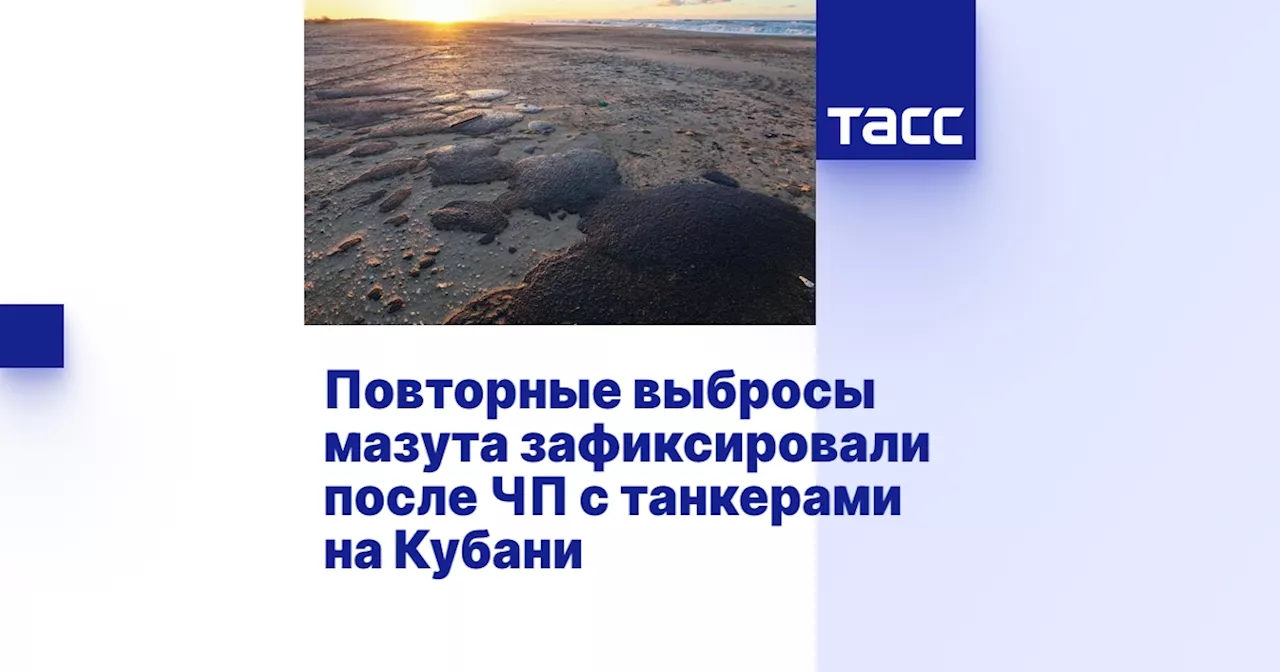 Повторные выбросы мазута зафиксировали после ЧП с танкерами на Кубани