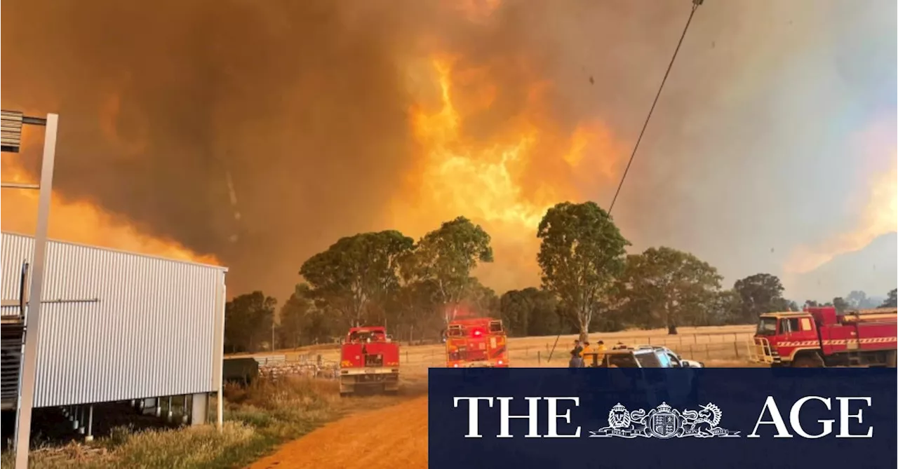 Bushfires Rage in Victoria, Triggering Emergency Alerts and Smoke Haze Over Melbourne