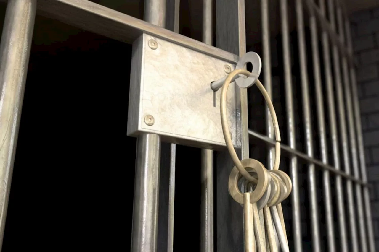 Company Director Jailed for R300,000 Tax Fraud