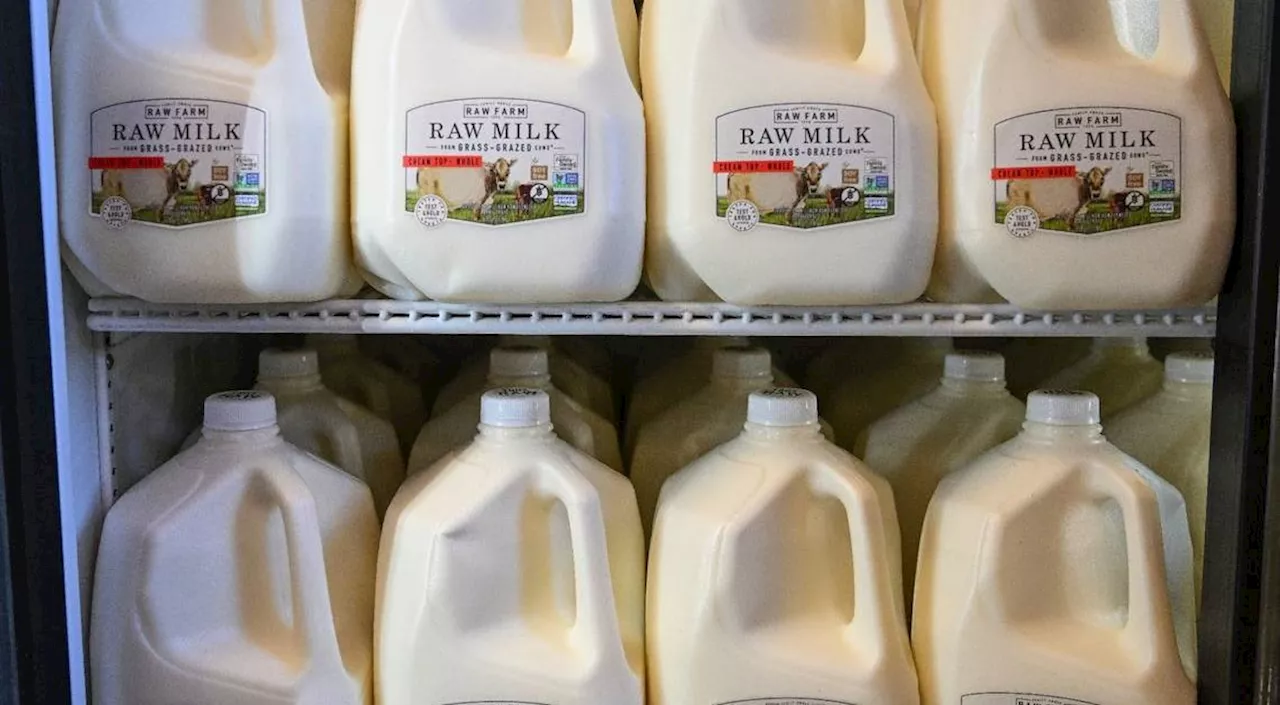 Is Raw Milk Safe? Here’s What to Know