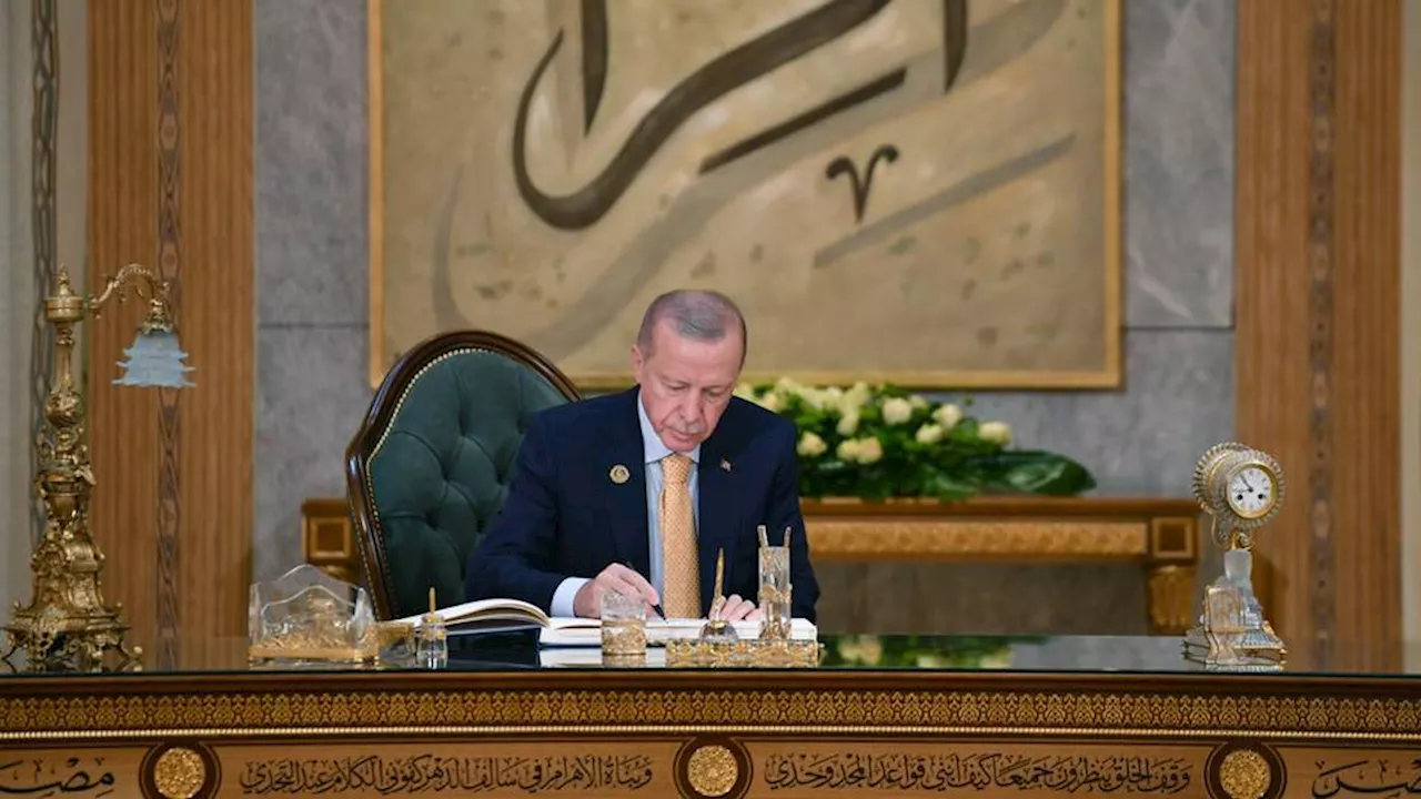 Erdogan pledges Türkiye’s support for Syrian transition, regional stability