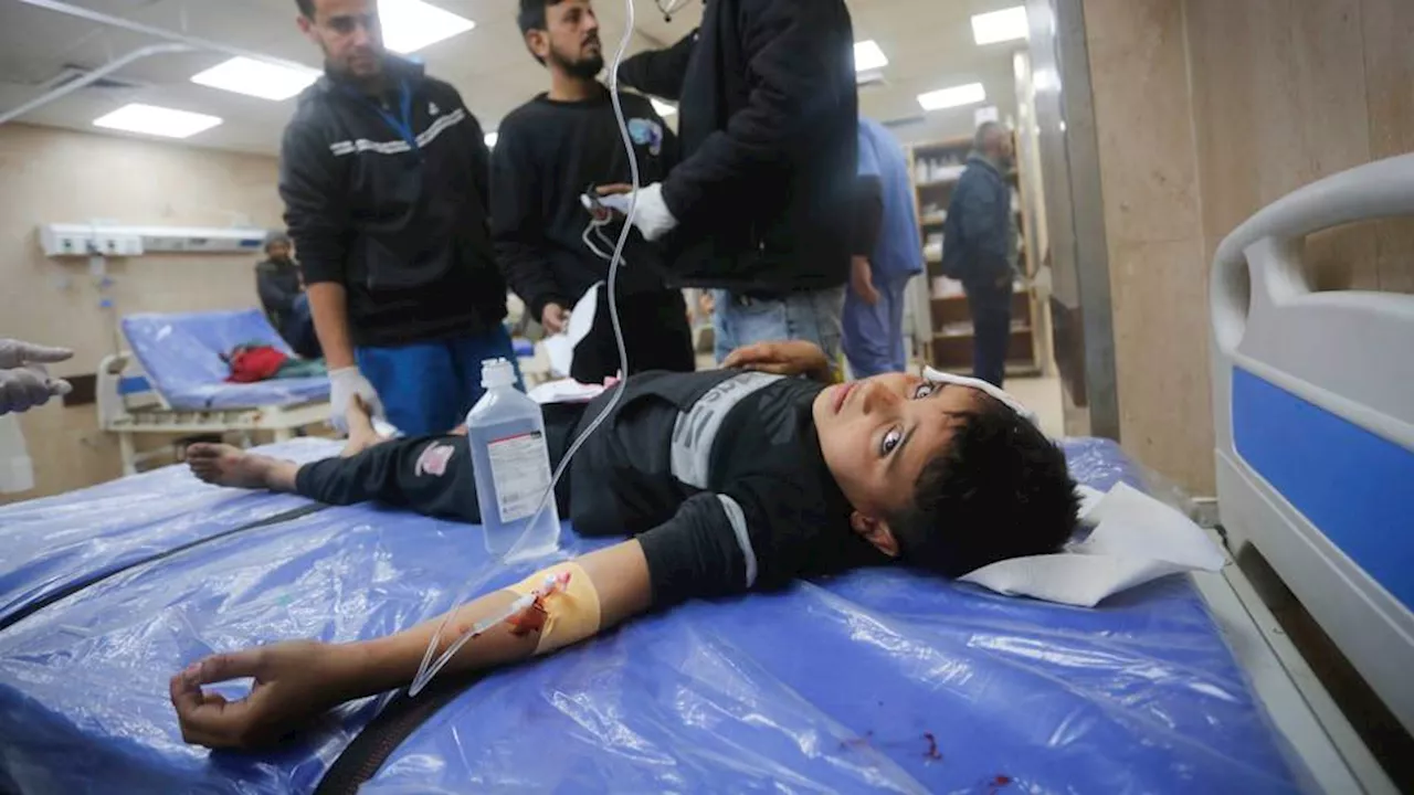 Live blog: Israel kills eight Palestinians in fresh Gaza shelter strike