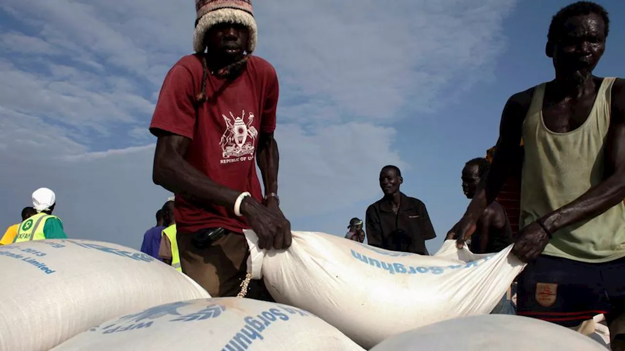 Over 40M people struggle to feed themselves in West and Central Africa: UN