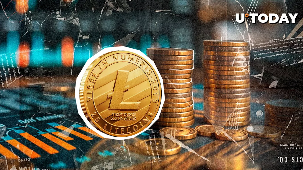 Litecoin: 78% of LTC Holders Refuse to Sell, Here's Likely Reason