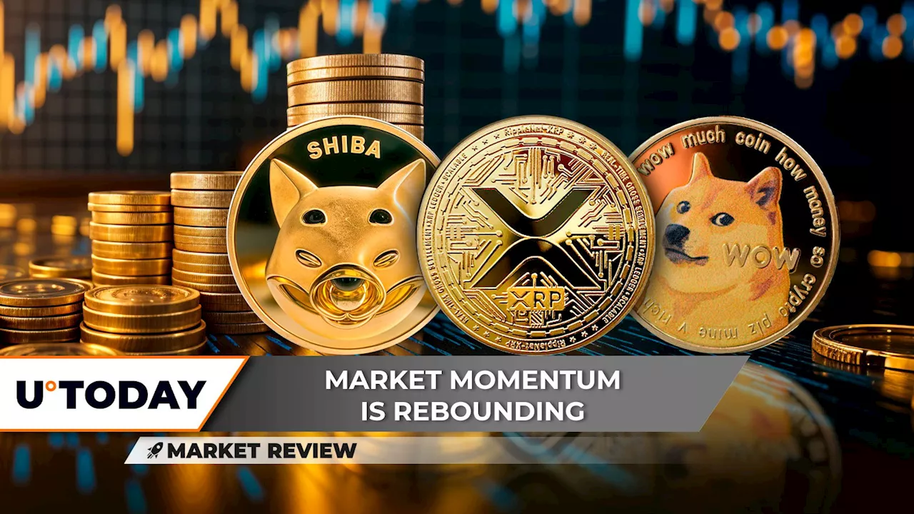 Shiba Inu (SHIB) Lost Major Support, XRP Bullish Formation Invalidated, Dogecoin (DOGE) Reaches Key Support Level