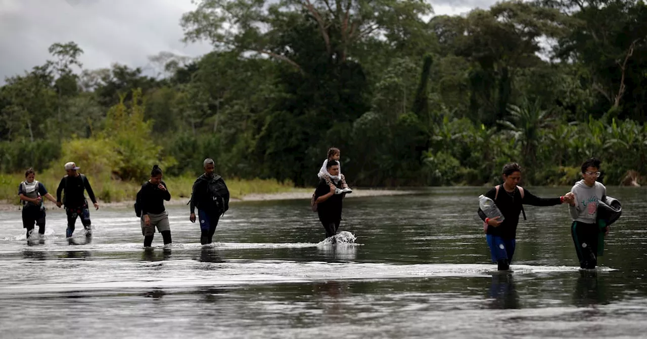 La selva del Darién en 2024: bajan los migrantes y Trump es el nuevo desafío