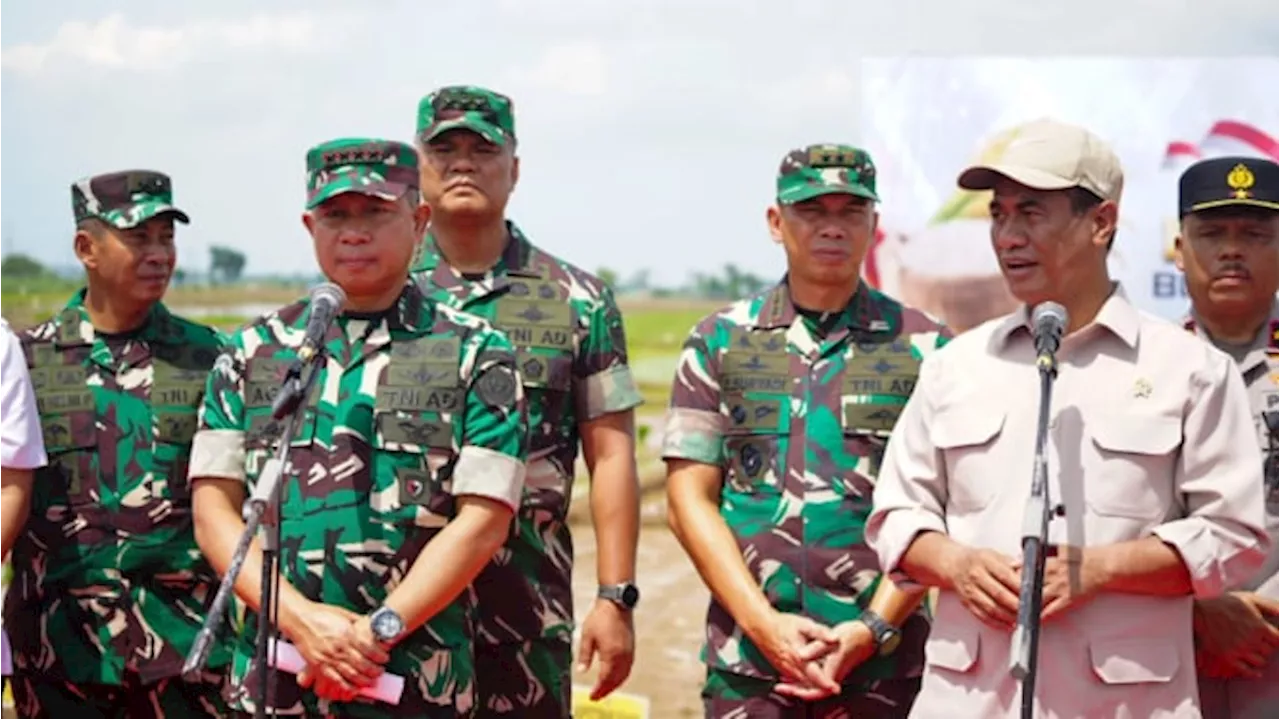 TNI Kembangkan Penangkaran Bibit Padi Unggul, Mentan: Luar Biasa