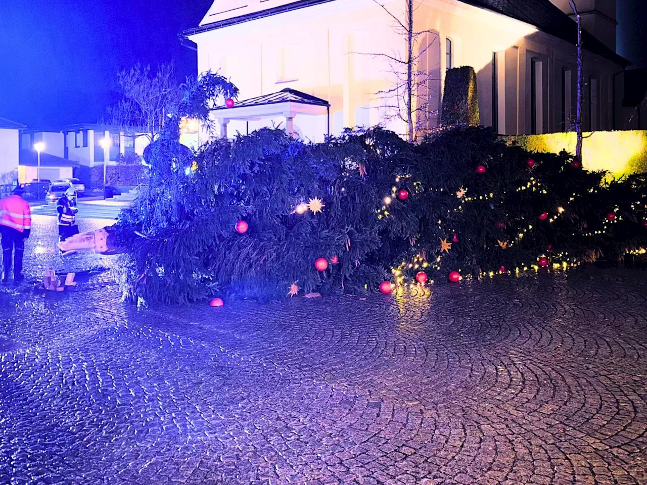 Weihnachtsbaum in Hörbranz stürzt um