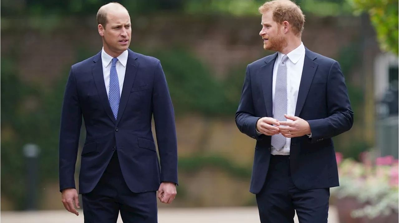 Royals: Neuer Ärger zwischen Harry und William entfacht – 'entsetzlicher Verrat'