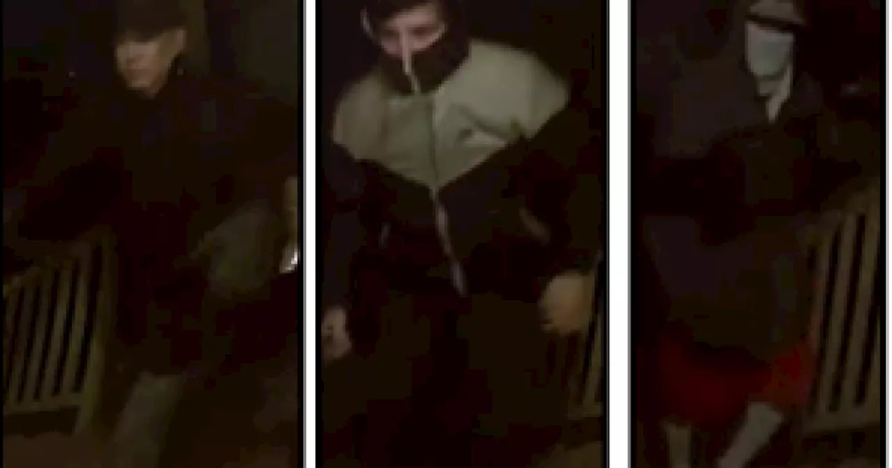 Police searching for three people caught on camera robbing a Glendale home