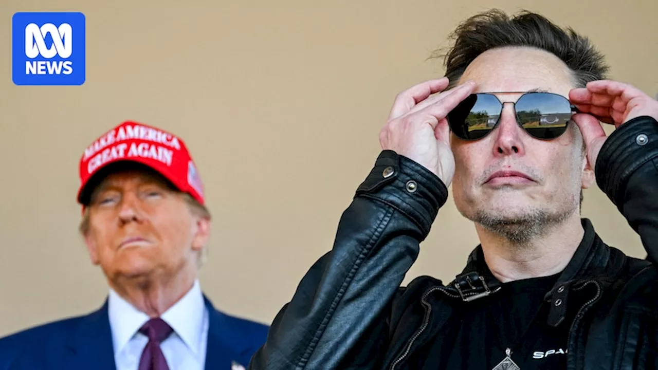 Elon Musk's storm of tweets almost led to a government shutdown, and proved his power in Trump's America