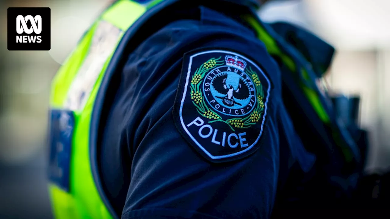 Man arrested after allegedly assaulting police officer with sword in Port Augusta