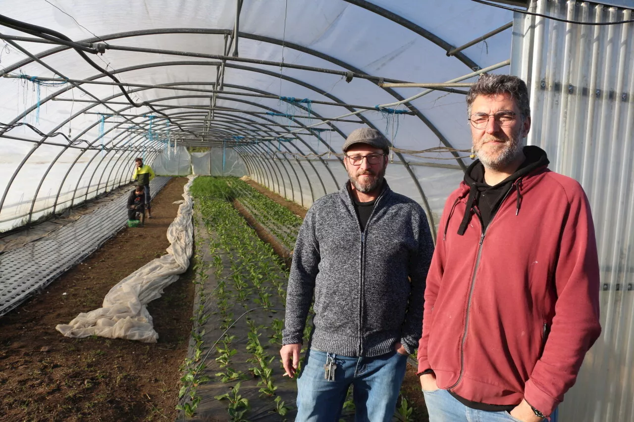 Deux agriculteurs de l'Eure témoignent de la crise agricole : « On vit sous perfusion »