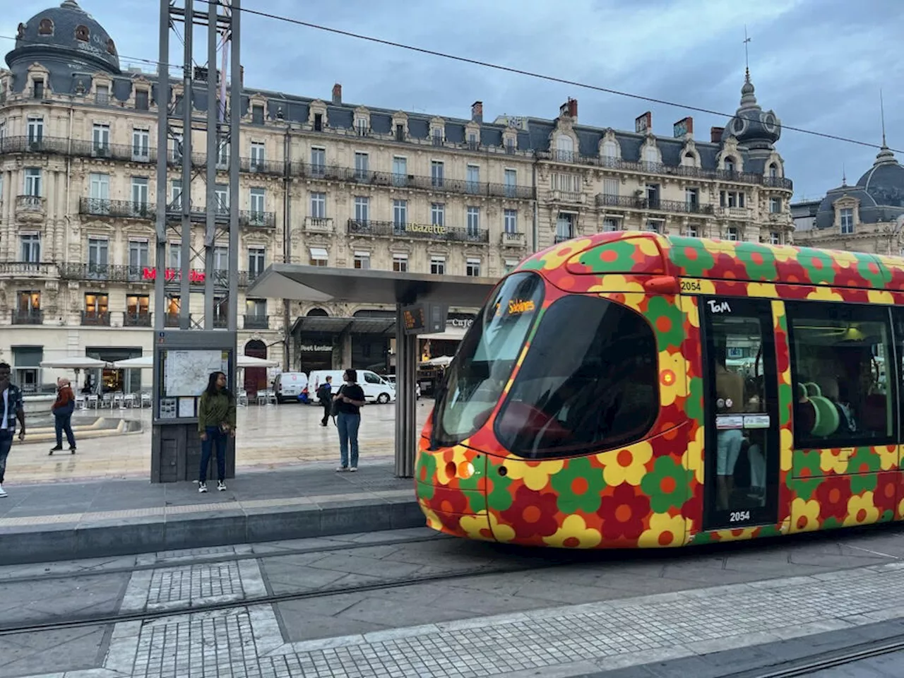 Montpellier : 33 % de voyageurs en plus grâce à la gratuité des transports