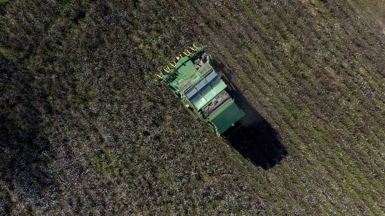 Months after Hurricane Helene, farmers are still reeling