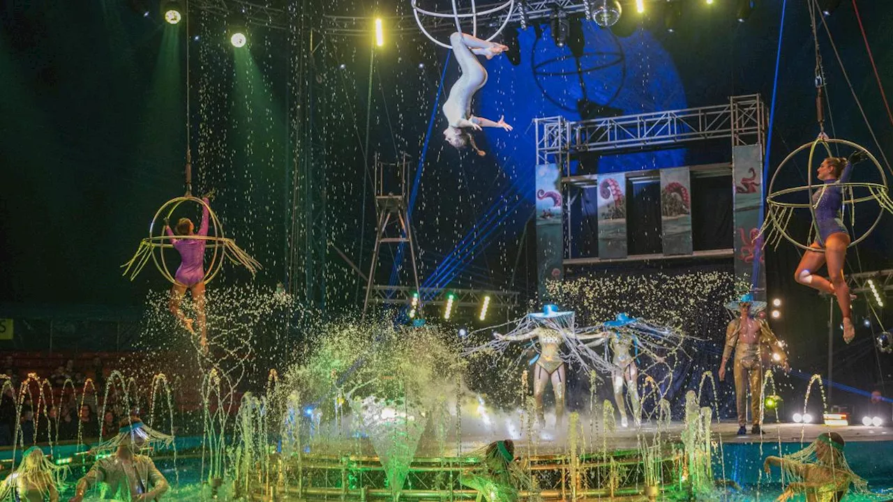 Zirkus „Waterland“ in Augsburg: So war die Premiere