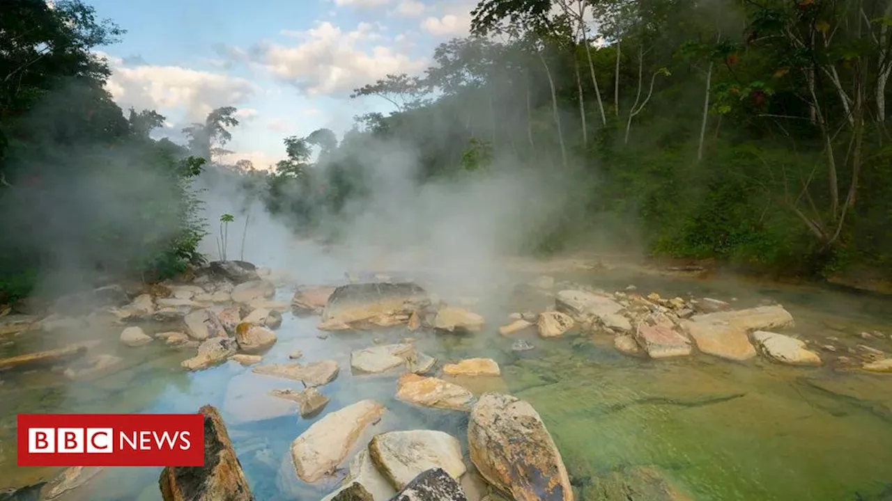 Amazônia: O que 'rio fervente' revela sobre aquecimento do planeta