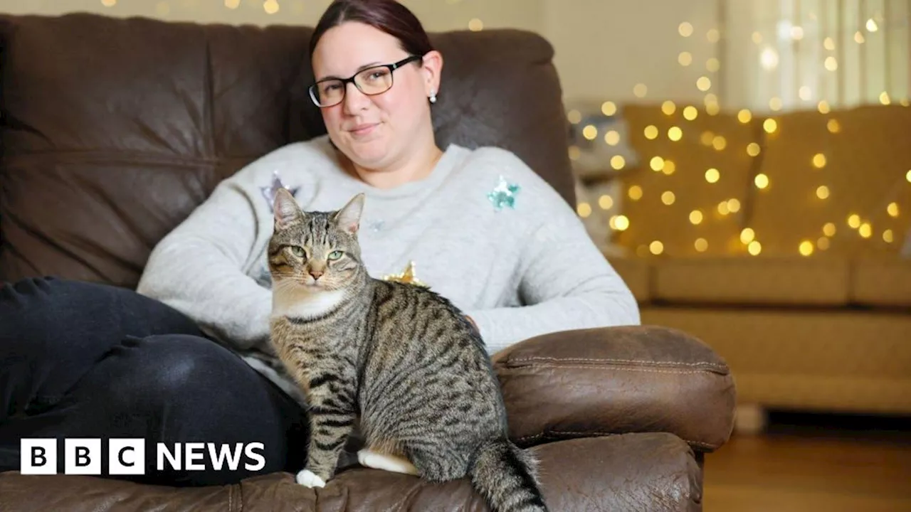 Cat abandoned in filthy flat for nine days finds loving new home