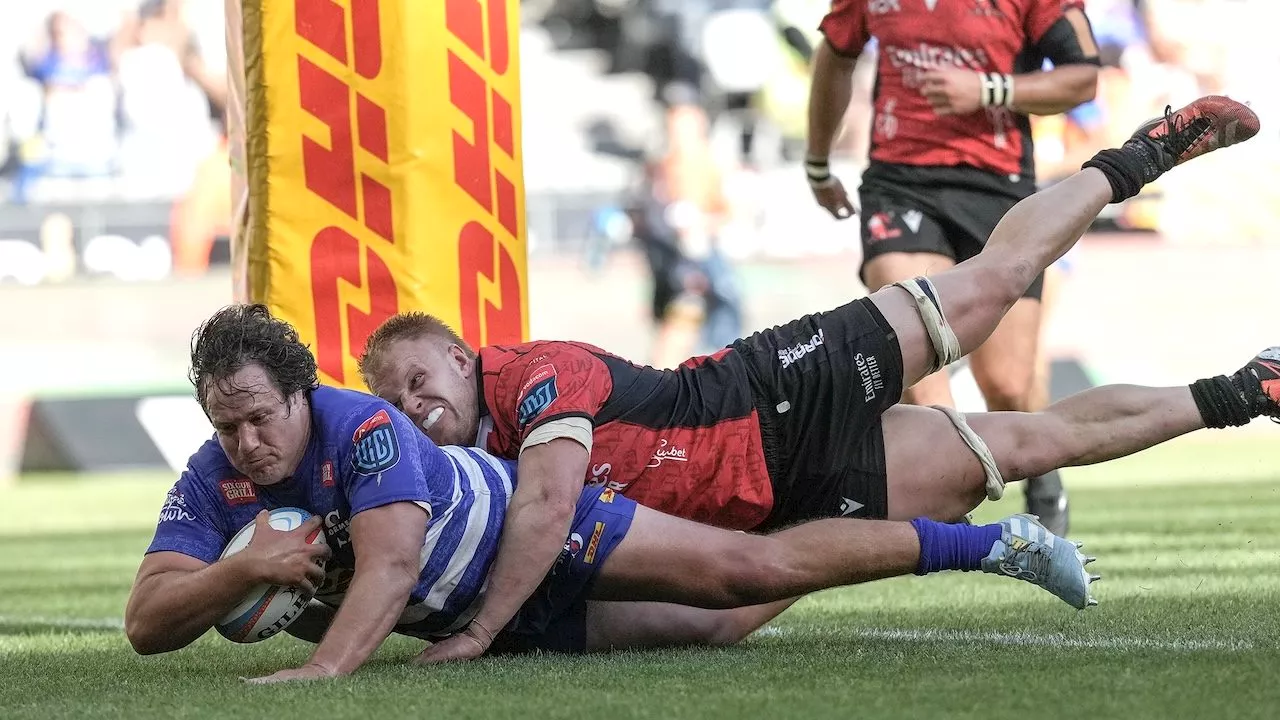 A sizzling display sees the Stormers give Lions a lashing