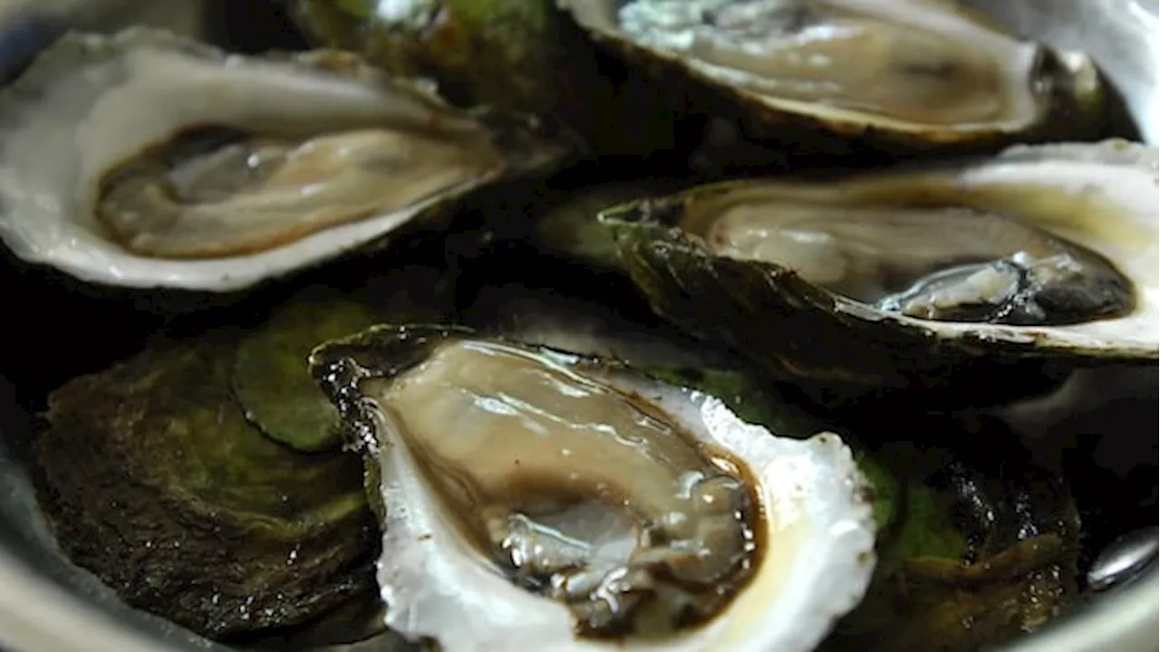 Taylor brand oysters distributed in 3 provinces recalled over possible norovirus contamination