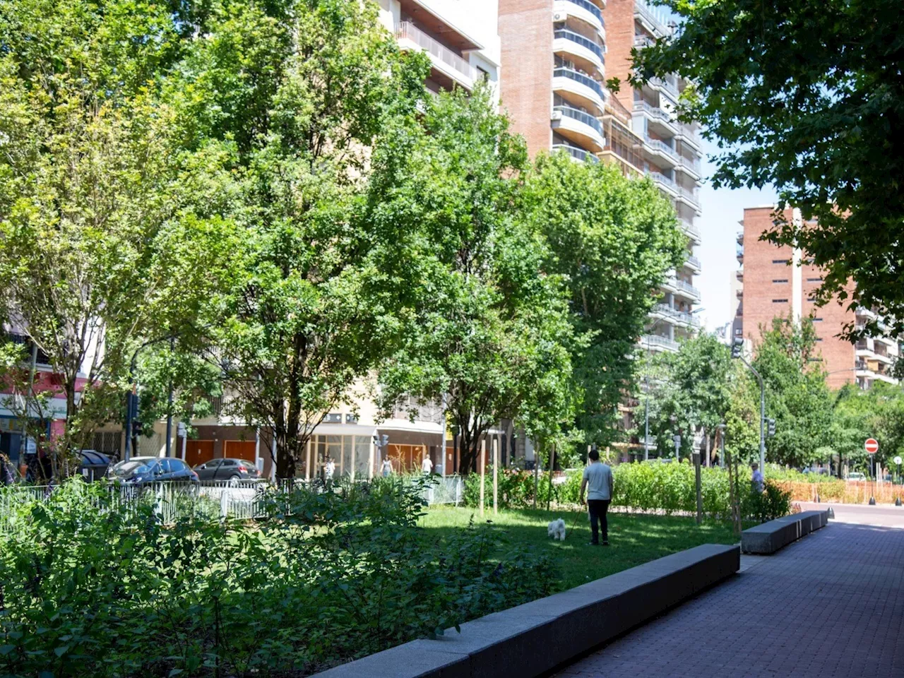 Con demoras, terminaron la obra que transformó una avenida de Caballito y generó polémicas