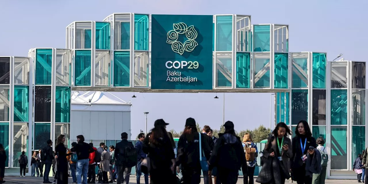 After COP29, the World Is Losing Faith in the UN Climate Process