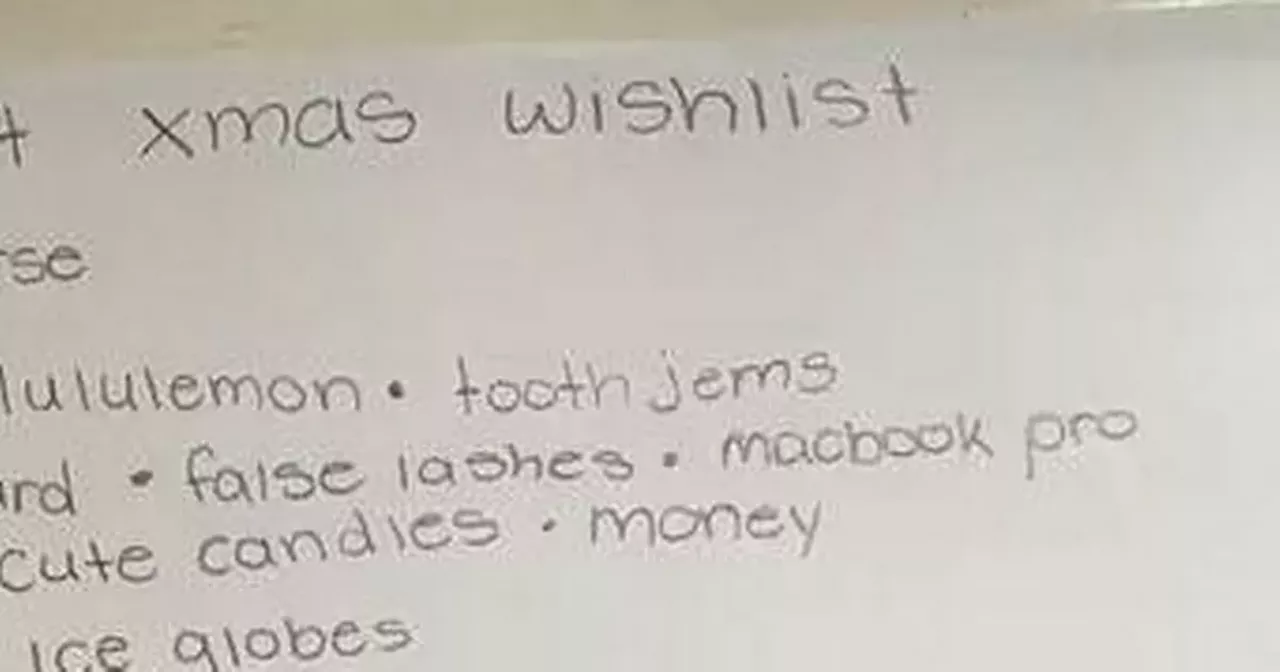 Christmas shoppers stunned after woman shares teenage niece's 'wild' wishlist