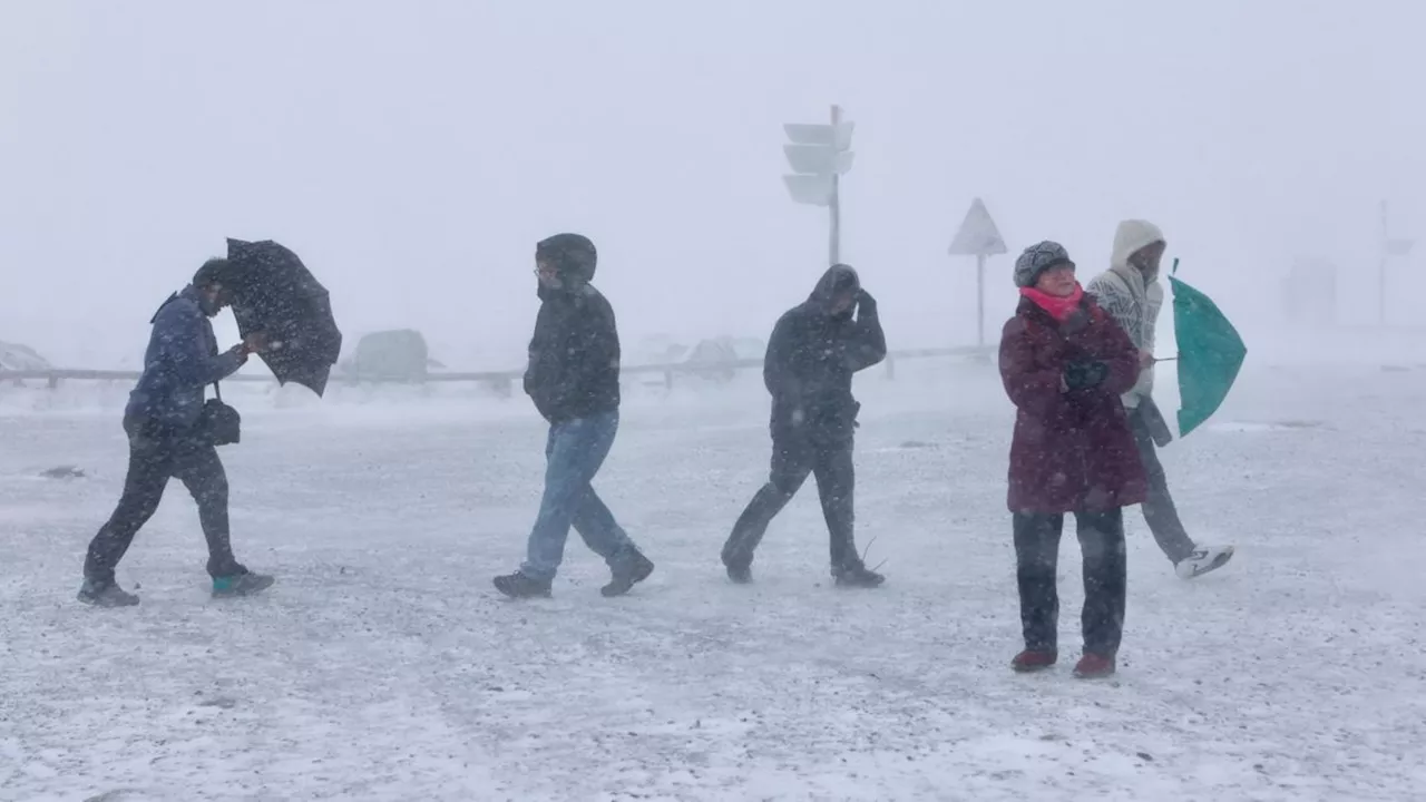 »Gefahr für Leib und Leben«: Wetterdienst warnt vor heftigem Sturm im Harz