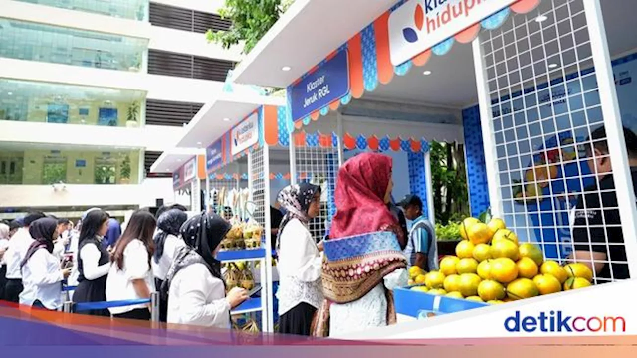 BRI Bina Kelompok Petani di Bengkulu, Kembangkan Jeruk Gerga Curup