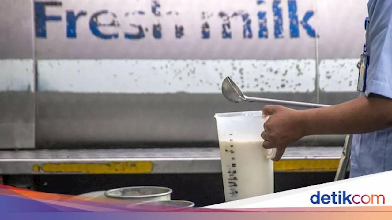 Ini Peluang Industri Susu Lokal Pasok Kebutuhan Makan Bergizi Gratis