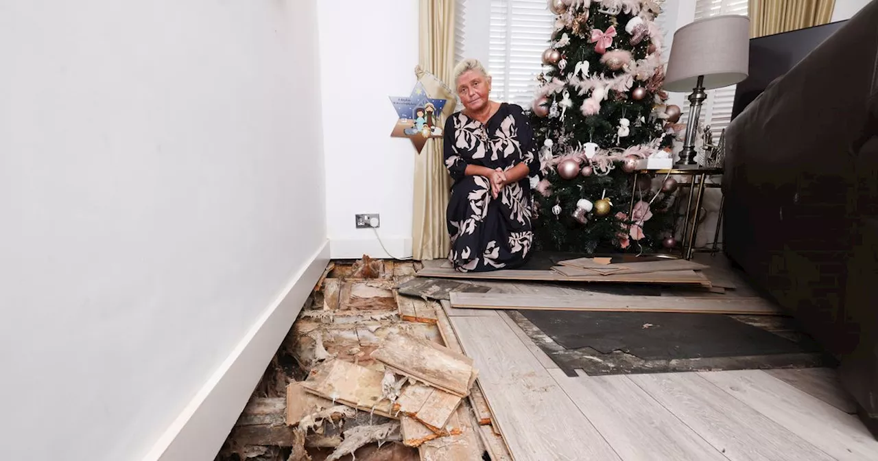 'Christmas ruined' after building work turns house into a 'nightmare'