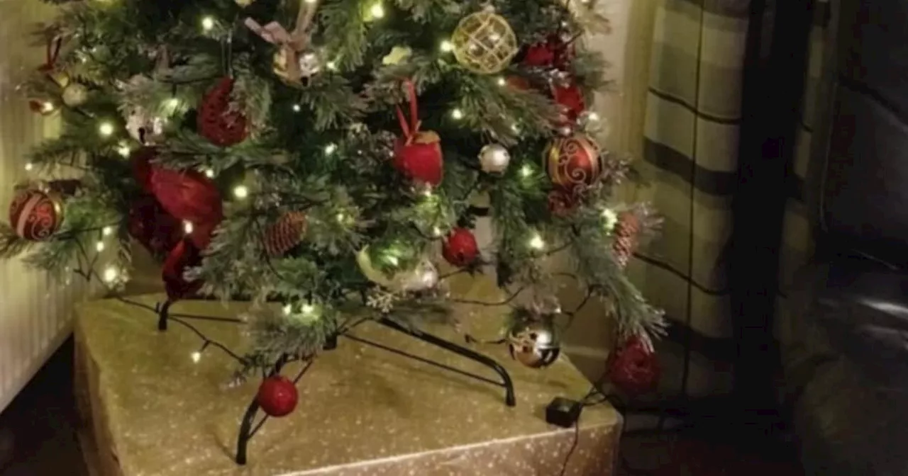 Family 'devastated' as brazen thieves steal everything from under Christmas tree