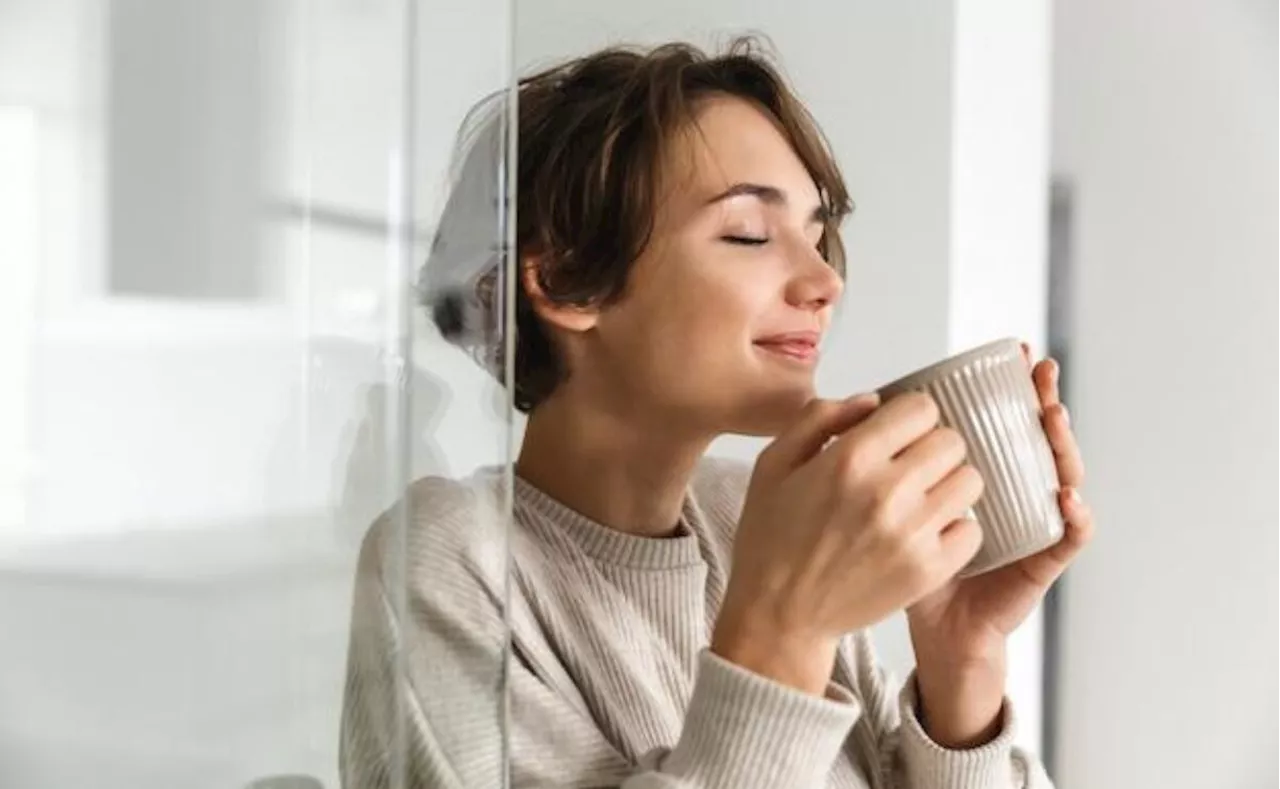 Harvard confirma los beneficios para la salud al beber té diariamente; se convertirá en tu bebida favorita