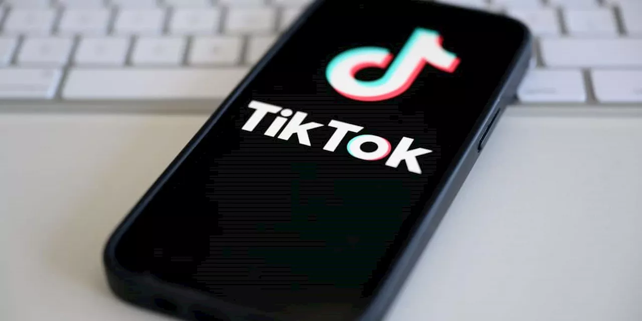 Toxische Soziale Medien?: Albanien will Zugang zu Tiktok für ein Jahr sperren