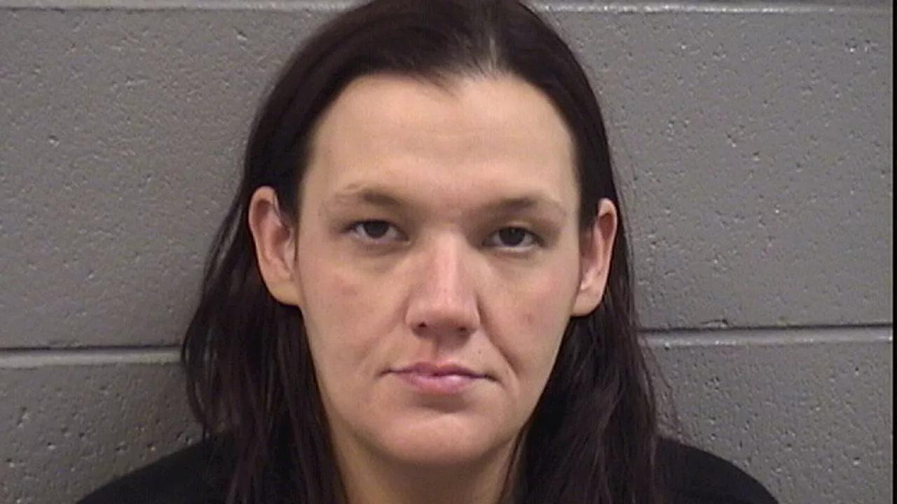 Chicago woman with history of mail theft arrested in condo burglary case: officials