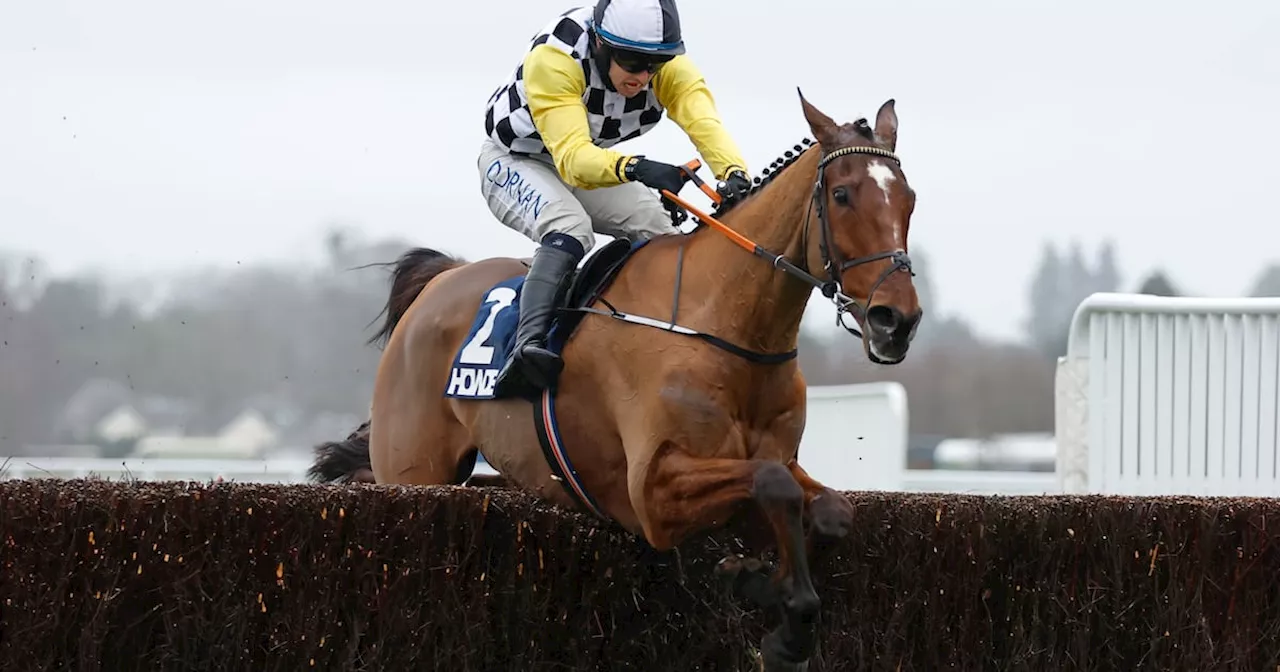 Henry de Bromhead’s Jungle Boogie gets the Christmas party jumping at Ascot