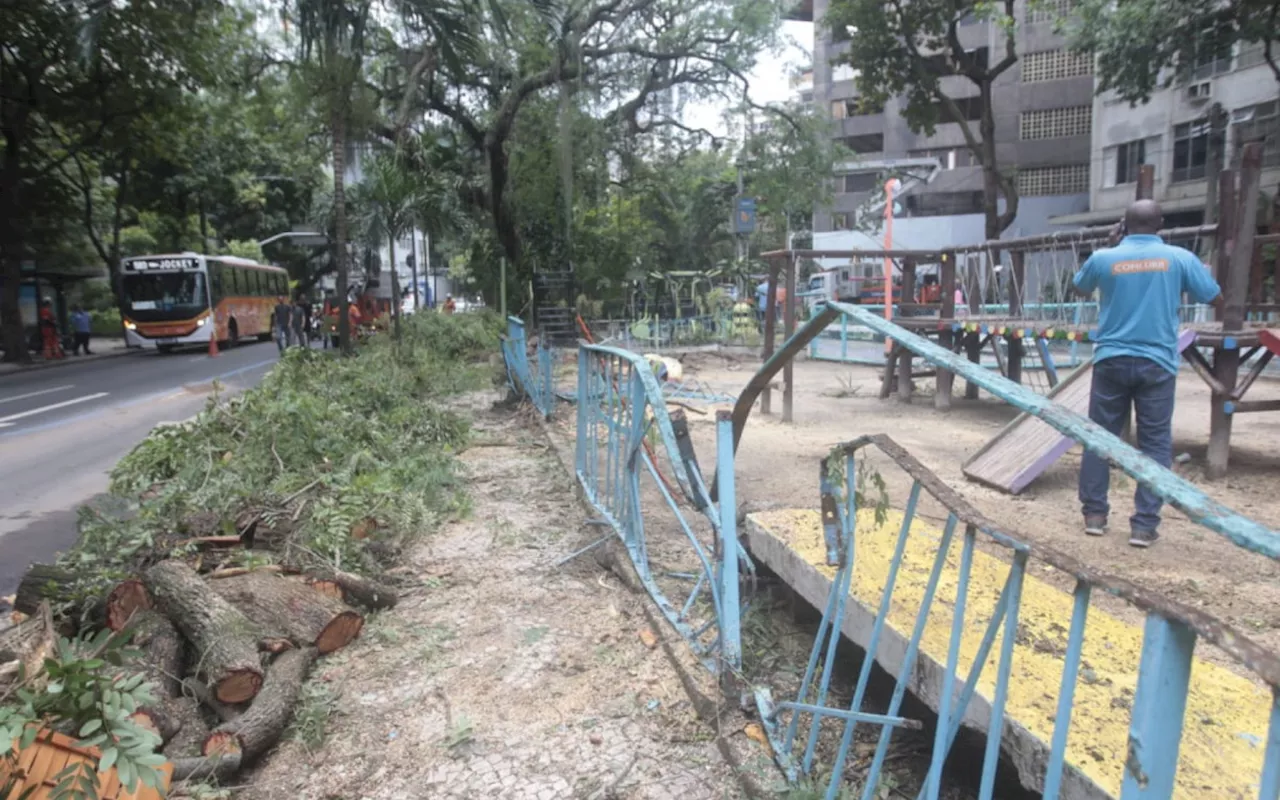 Parquinho no Largo dos Leões fica destruído após queda de árvore