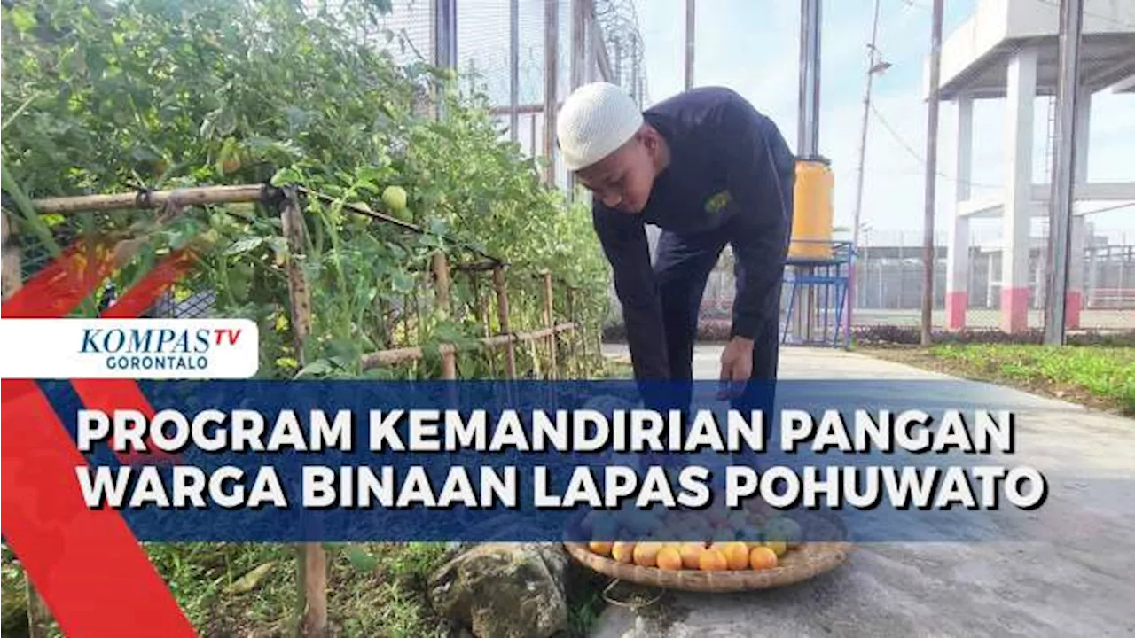 Dukung Program Asta Cita, Lapas Pohuwato Sukses Kembangkan Kemandirian Pangan Untuk Warga Binaan