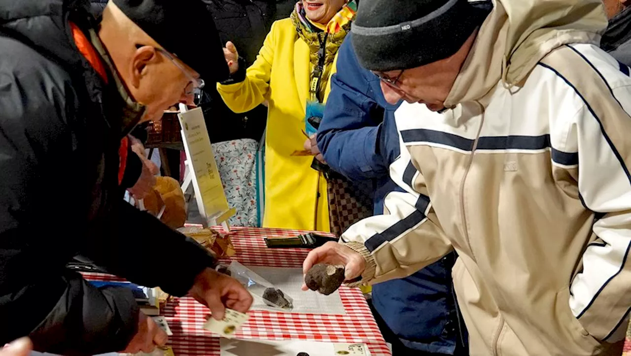 Le marché aux truffes de Caussade propose des trésors culinaires jusqu’à février 2025