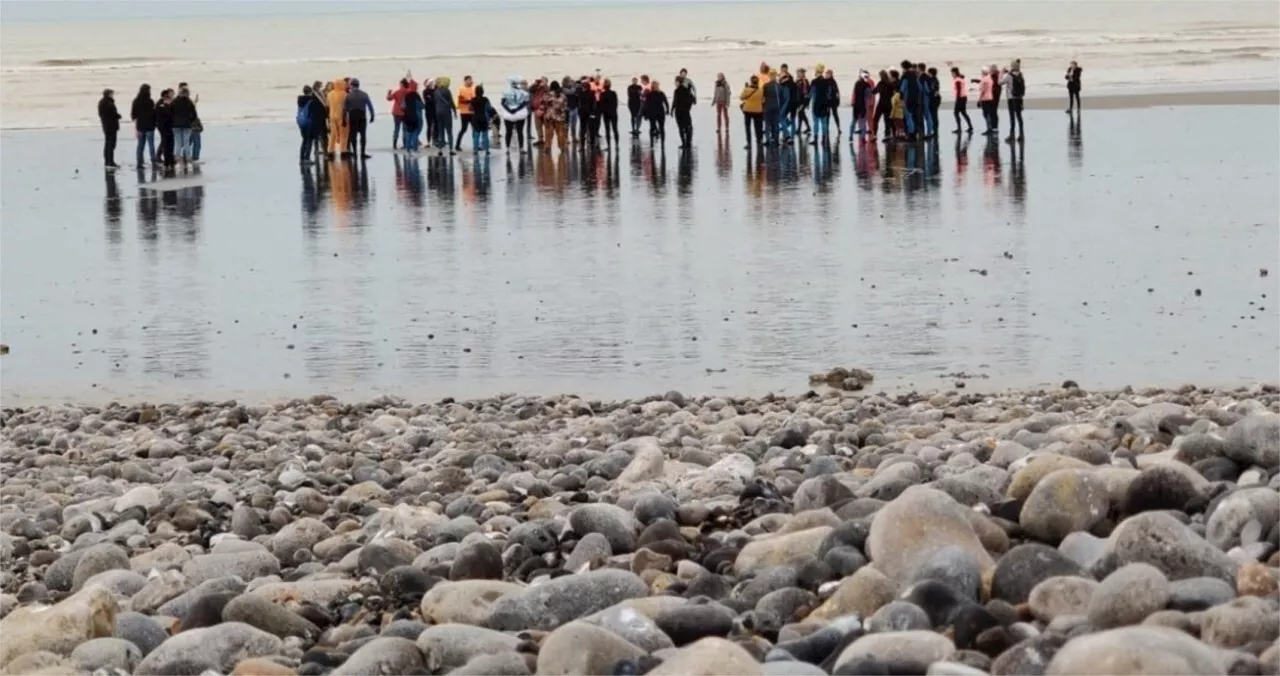 Pourquoi le bain du Nouvel-An n'aura pas lieu cette année à Cayeux-sur-Mer