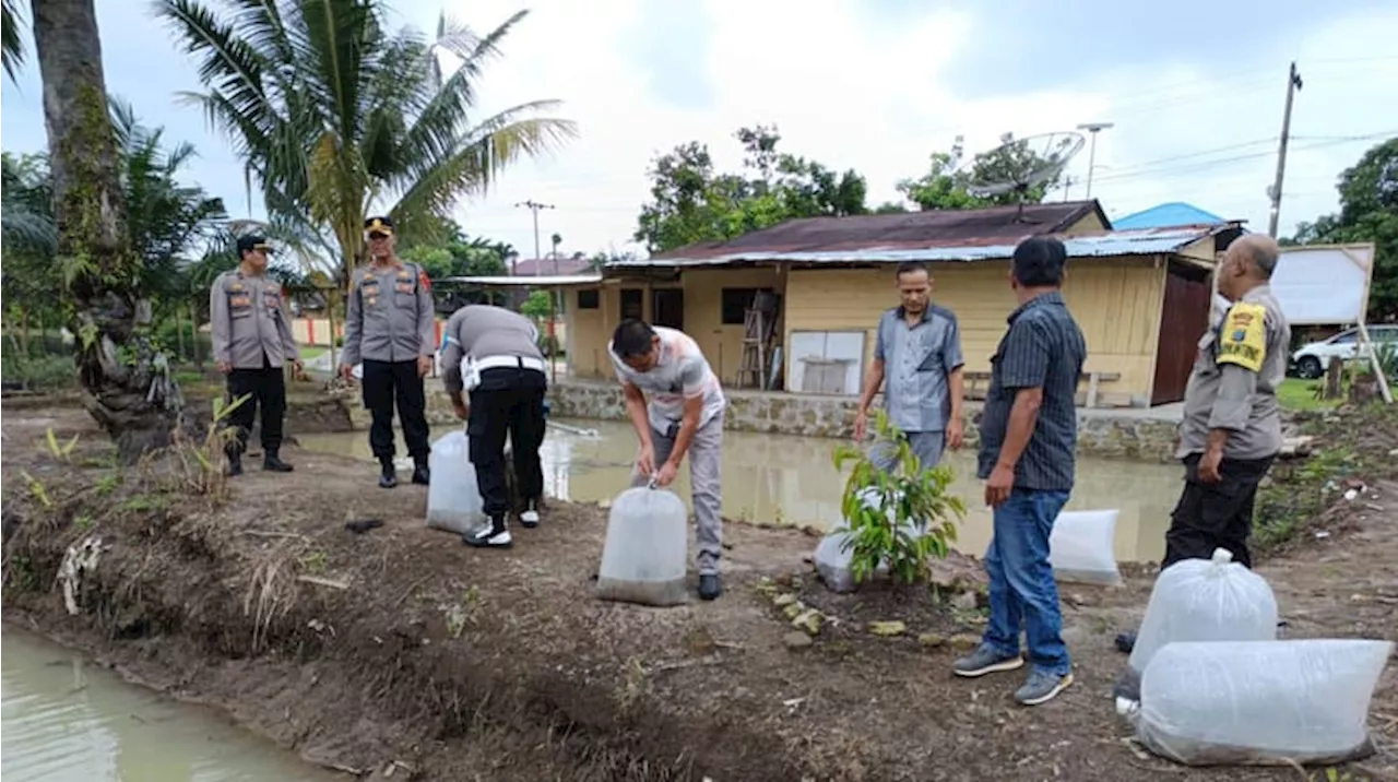 Dukung Ketahanan Pangan, Polsek Tanah Jawa Tabur 7.500 Benih Ikan