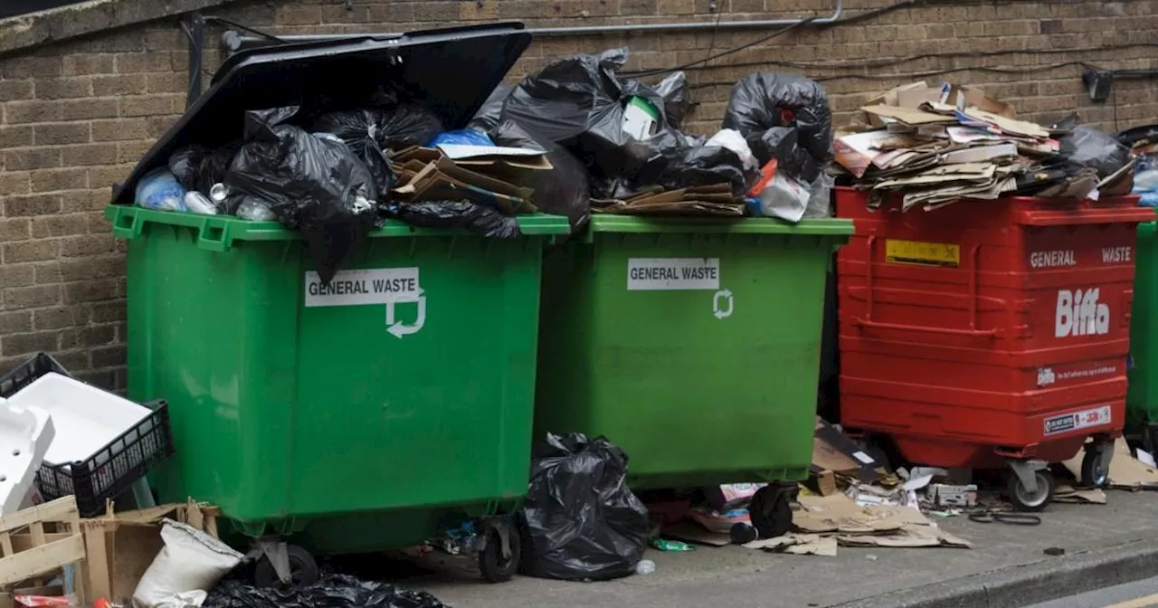 Girl, 5, fined £1,000 after council ‘caught her fly-tipping'