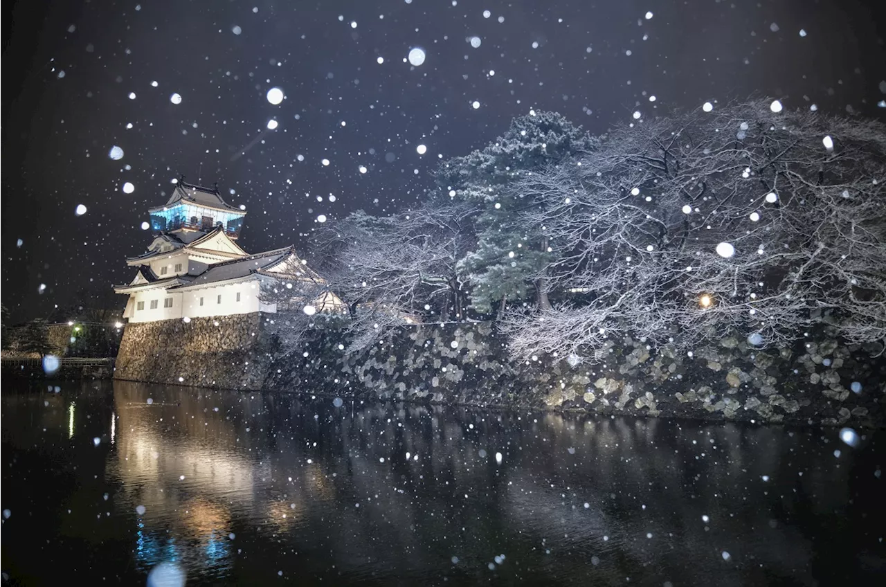 Discover the Wonders of Winter in Toyama