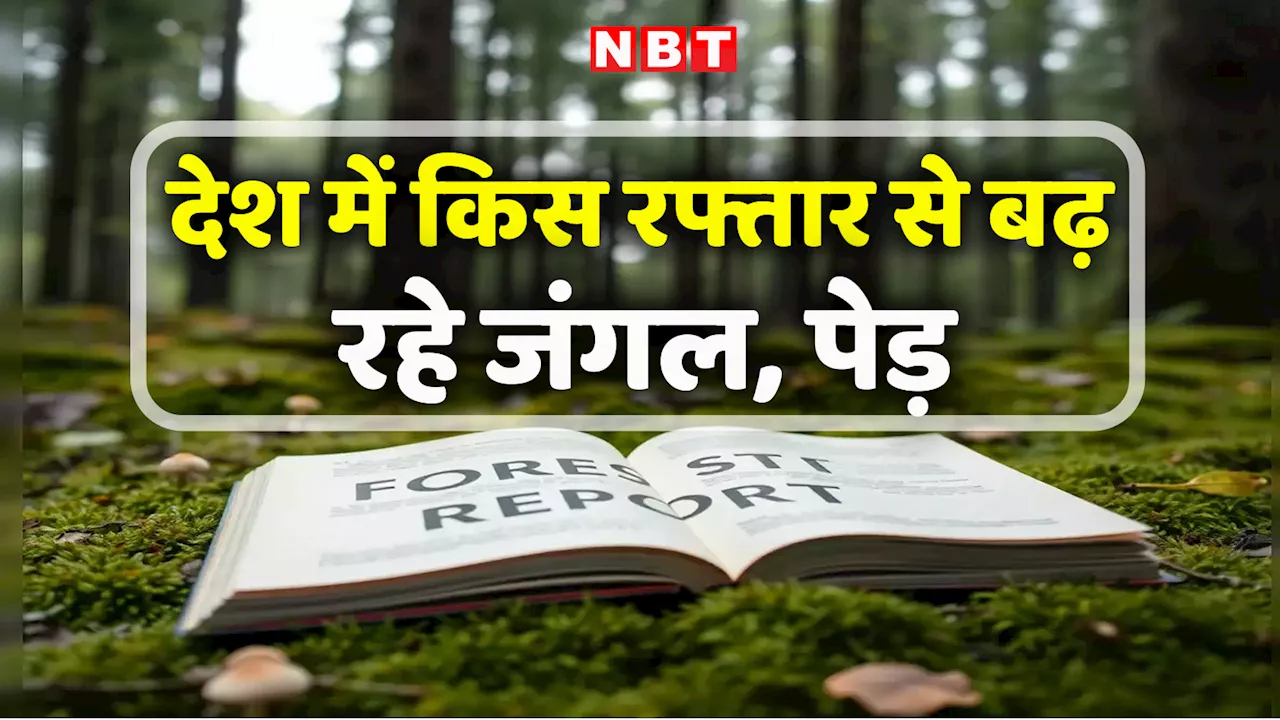 देश के किस राज्य में सबसे अधिक जंगल? भारत राज्य वन रिपोर्ट में आई हरियाली को लेकर गुड न्यूज