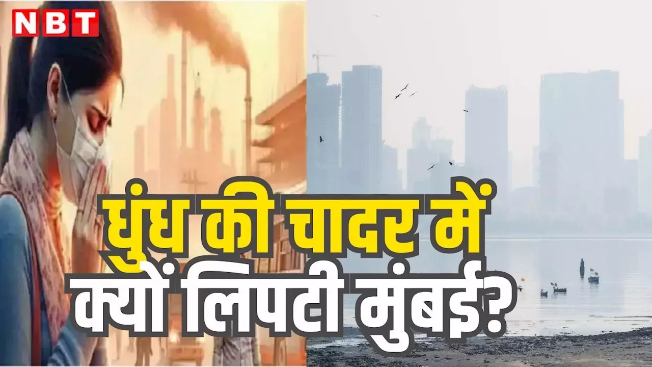 Mumbai News: धुंध की चादर में क्यों लिपटी है आमची मुंबई? जानें वो तीन बड़े कारण