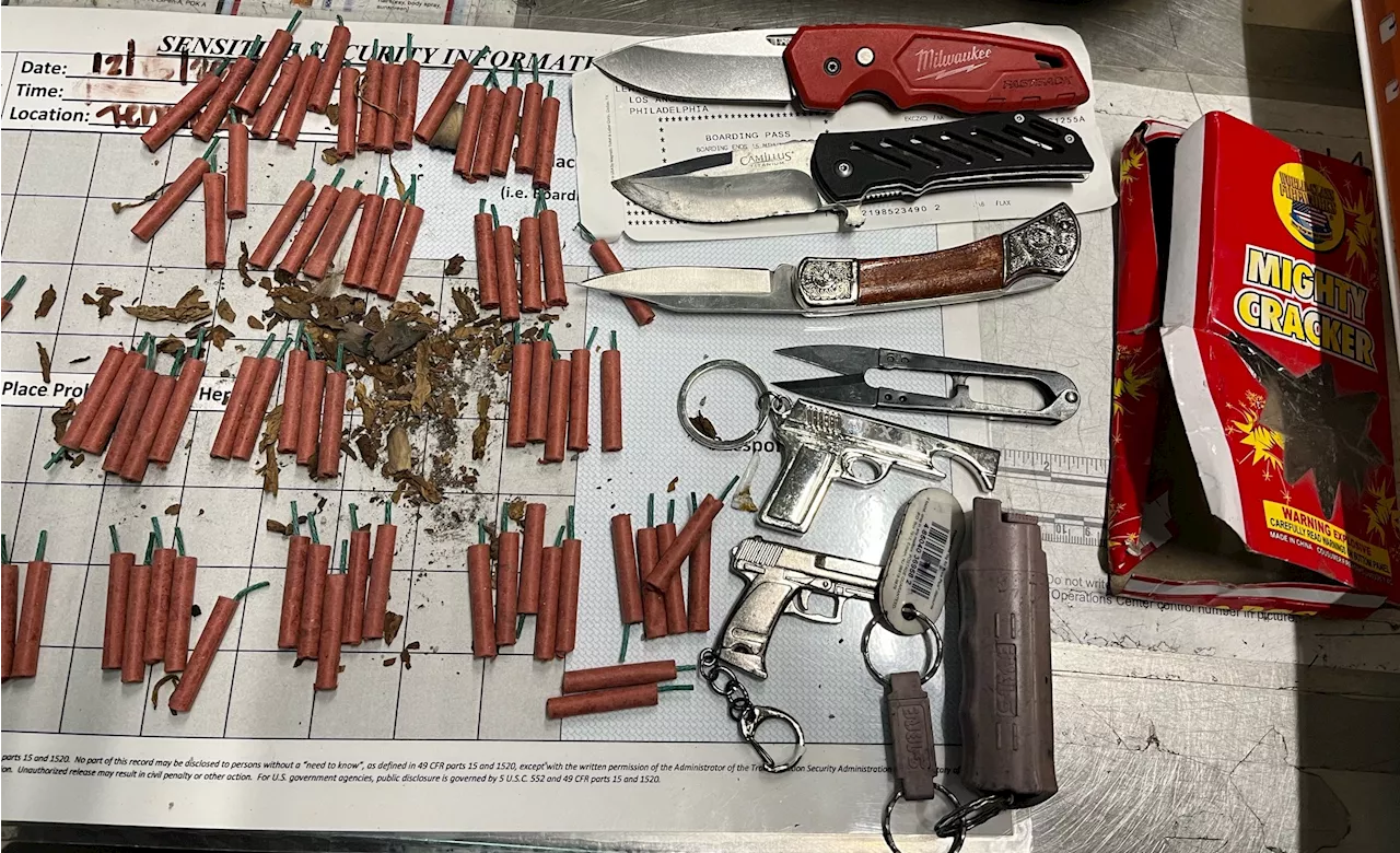 Fireworks, knives and replica firearms found inside woman's carry-on at LAX