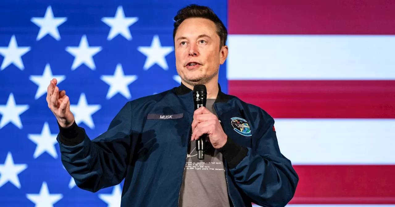 Elon Musk's meetings with foreign leaders alongside Trump alarm Washington insiders