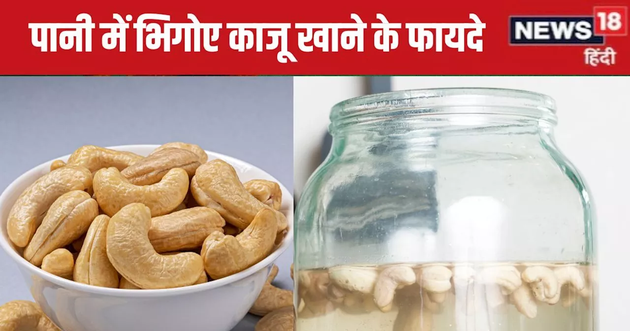 ये है काजू खाने का सही तरीका, होंगे ये 6 जबरदस्त लाभ, जानें 1 दिन में कितने cashew नट का करना चाहिए सेवन