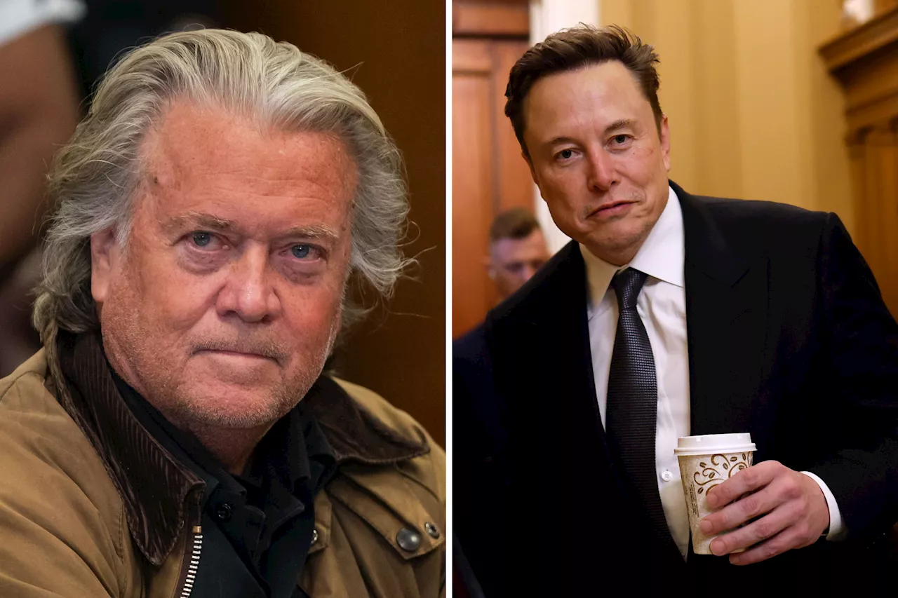 Steve Bannon Disagrees With Elon Musk on 'Just About Everything'